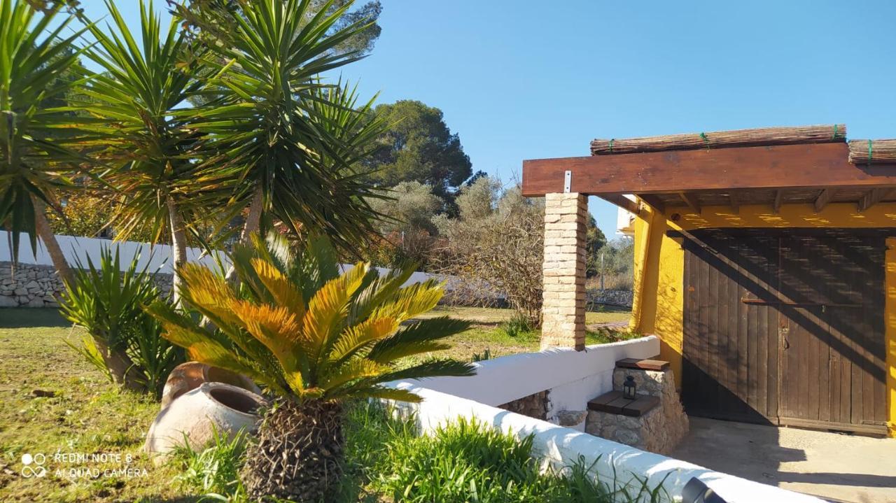 Casa Con Vistas, Piscina Y Animales De Granja, La Caseta Тарагона Екстериор снимка