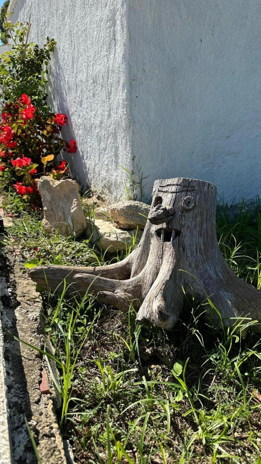 Casa Con Vistas, Piscina Y Animales De Granja, La Caseta Тарагона Екстериор снимка